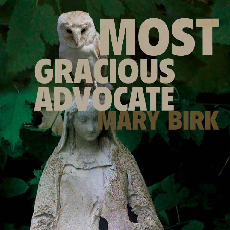 Most Gracious Advocate book by Mary Birk